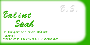 balint spah business card